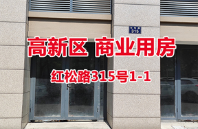 序号12：红松路315号1-1